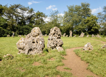 View of trees on field