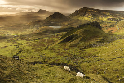 Scenic view of landscape