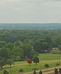 Scenic view of grassy field against sky