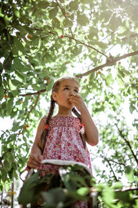 Low angle view of girl standing against tree