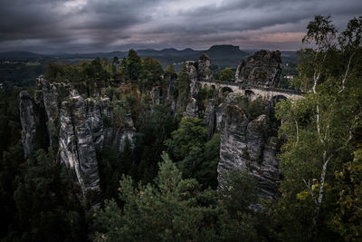 View of plants growing on rock against sky