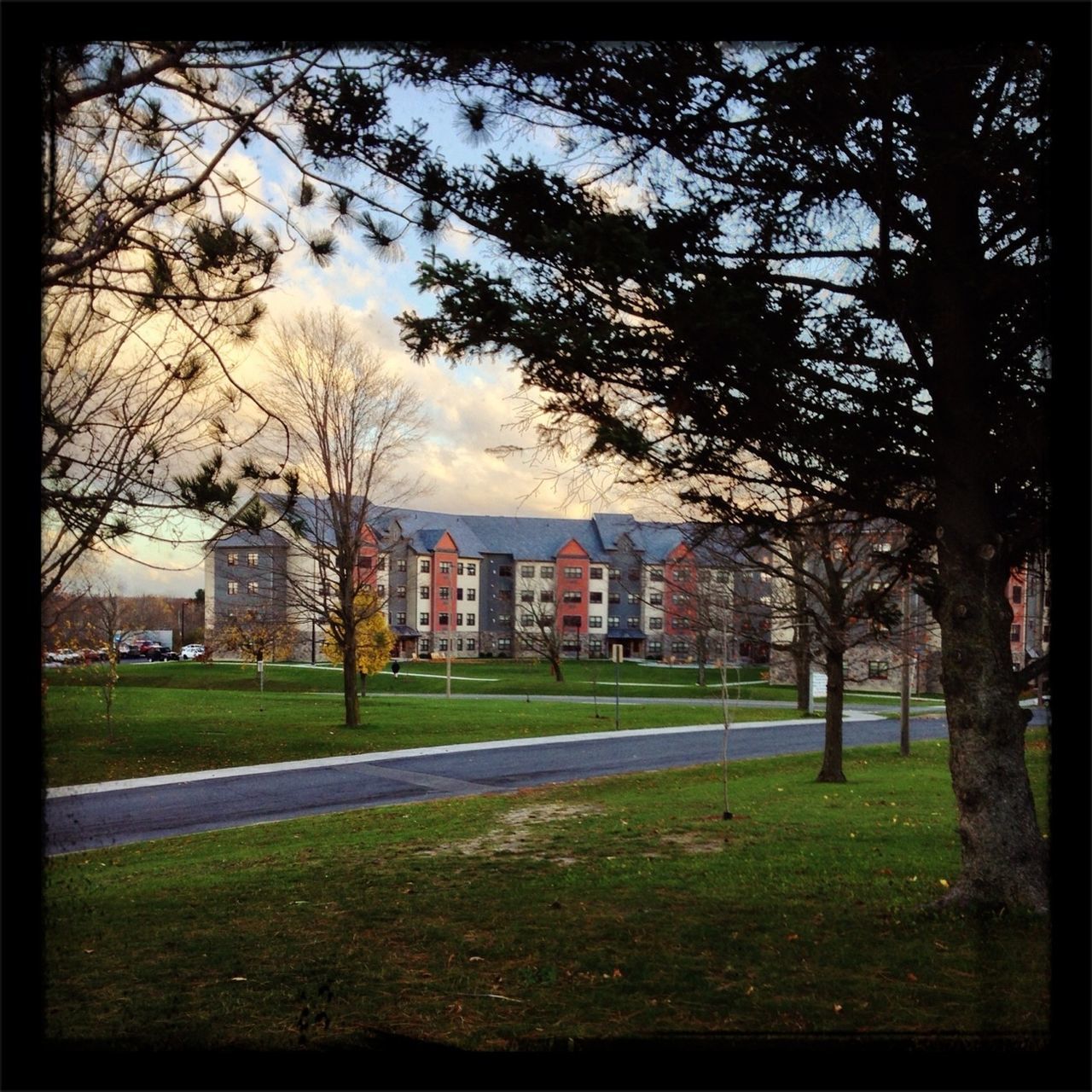 Suny canton grass river sweets