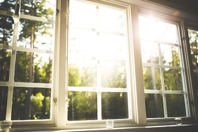 Trees seen through window