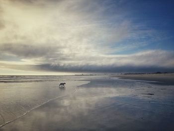 View of calm beach against cloudy sky