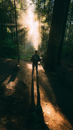 Shadow of man on tree in forest