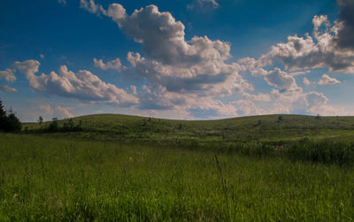 Scenic view of field against sky