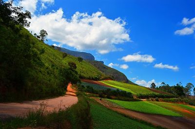 Scenic view of agricultural field against sky