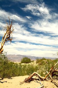 Scenic view of landscape against cloudy sky