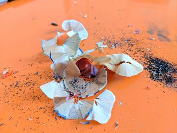 High angle view of orange flower on table
