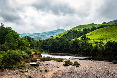 Mountain with dry river flow and green forests