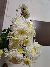 Close-up of white flowering plant at home