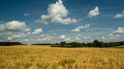 Scenic view of agricultural field against sky