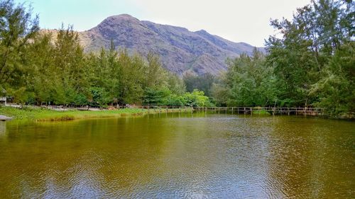 Scenic view of lake by trees against sky