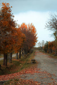 Footpath amidst trees against sky during autumn