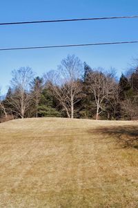 Trees on field against clear blue sky