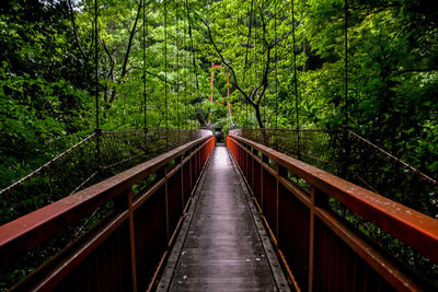 Footbridge amidst trees in forest