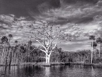 Scenic view of lake against cloudy sky