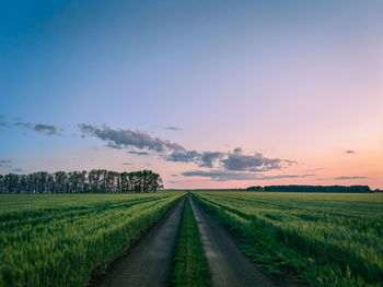 Road amidst field against sky during sunset