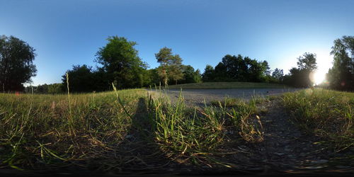 Scenic view of field against clear sky