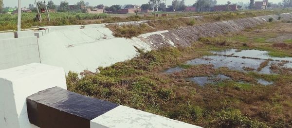 High angle view of plants growing on land