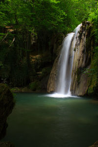 Scenic view of waterfall in forest