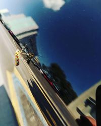 Close-up of bee on glass window