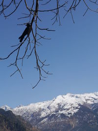 Scenic view of snowcapped mountains against blue sky