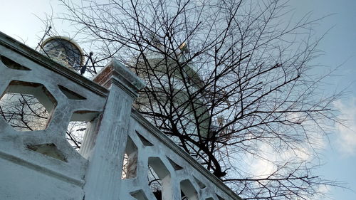 Low angle view of bare tree by building against sky