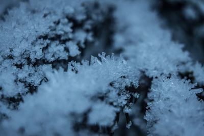 Close-up of snowflakes on snow