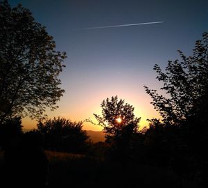 Silhouette trees against clear sky during sunset