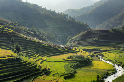 High angle view of agricultural field against sky