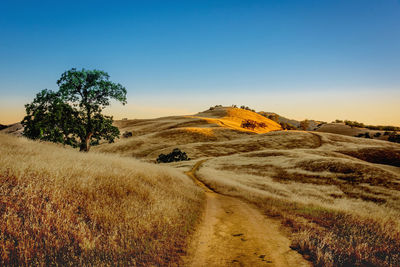 Scenic view of landscape against clear blue sky