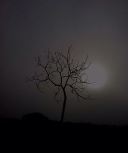 Silhouette of bare tree against sky