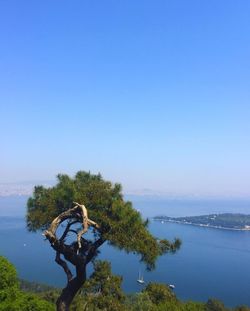 Scenic view of sea against clear blue sky