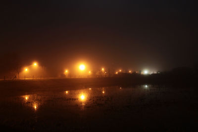 Reflection of illuminated trees in puddle