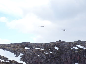 Birds flying over mountain against sky
