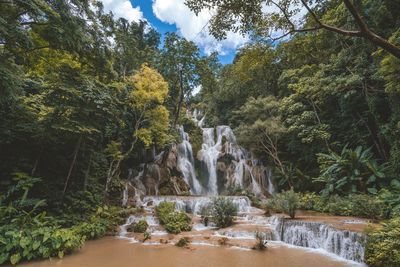 Scenic view of waterfall in forest