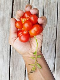 Cropped hand holding cherry tomatoes