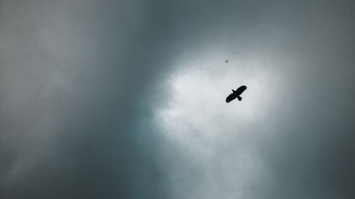 Low angle view of silhouette bird flying in sky