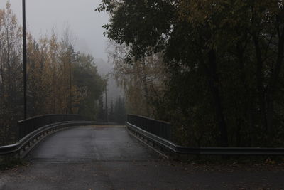 Empty road amidst trees