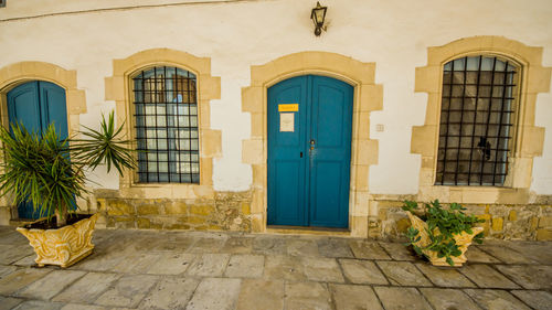 Potted plants on street against building