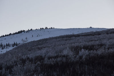 Scenic view of snowy field against clear sky