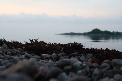 Rocks on beach against sky during sunset