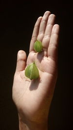 Close-up of hand holding leaf over black background