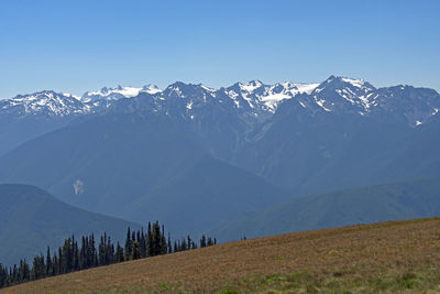 The olympic mountains viewed from hurricane ridge  in olympic national park in washington