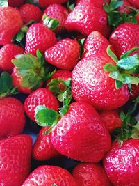 Full frame of strawberries