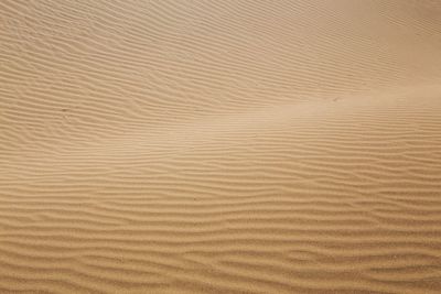 Full frame shot of sand dune