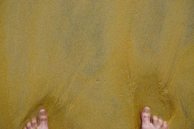 Low section of person standing on yellow floor