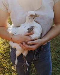 Dad's favorite chicken