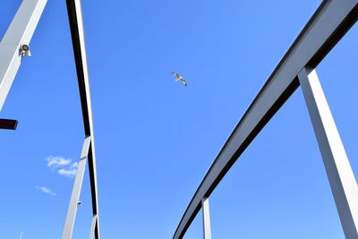 Low angle view of birds flying against clear blue sky